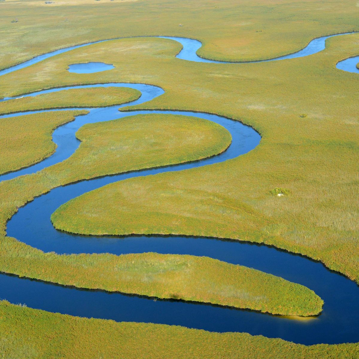 Delta del Okavango