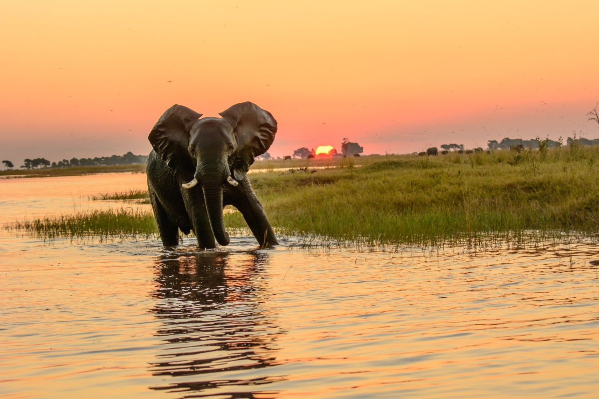 Esencias de Namibia con Cataratas Victoria y Chobe