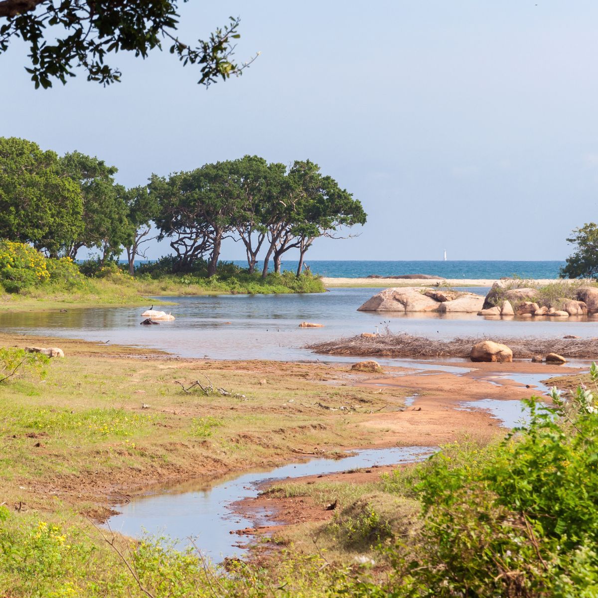 Parque Nacional de Yala