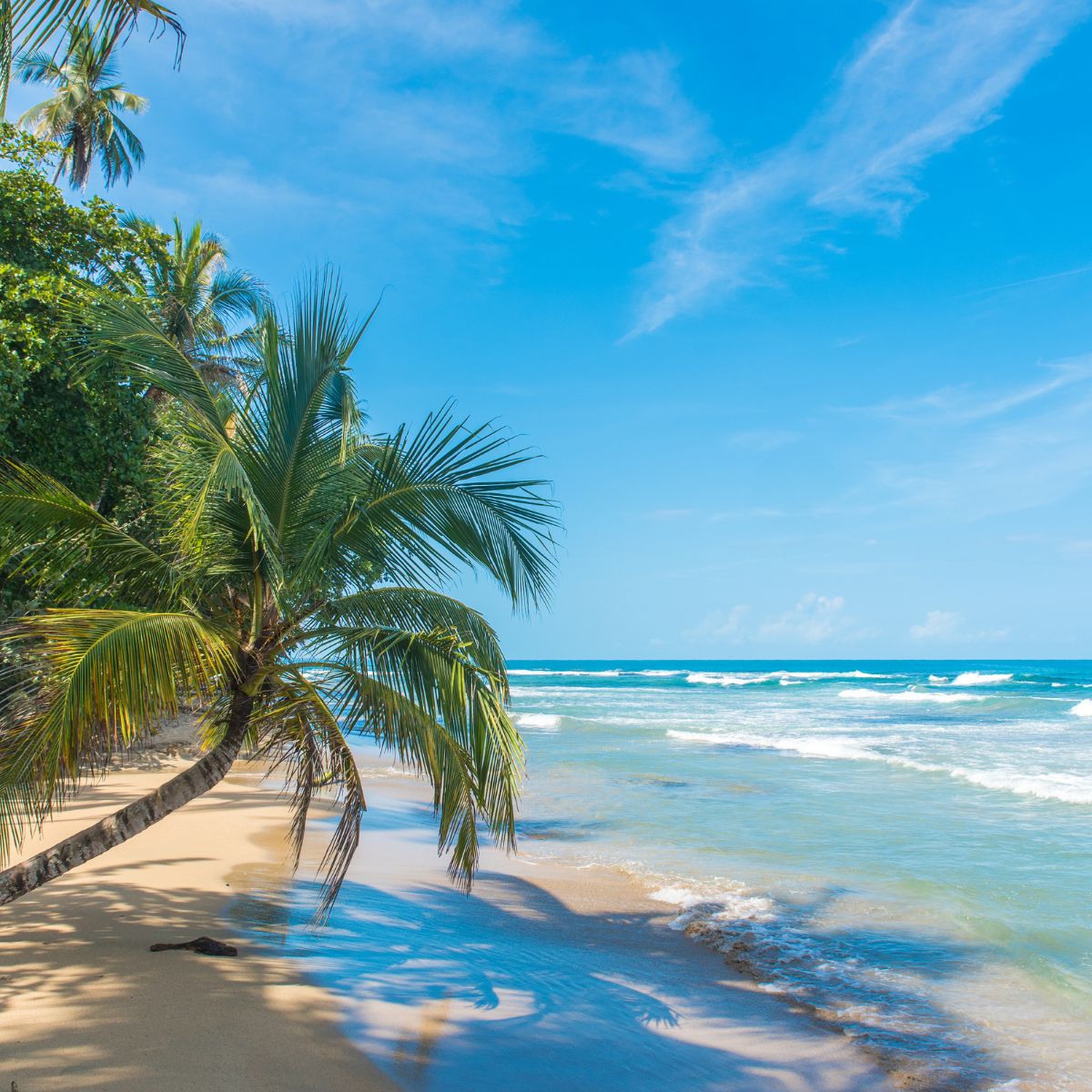 Puerto Limón