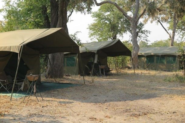 Safari por Botswana