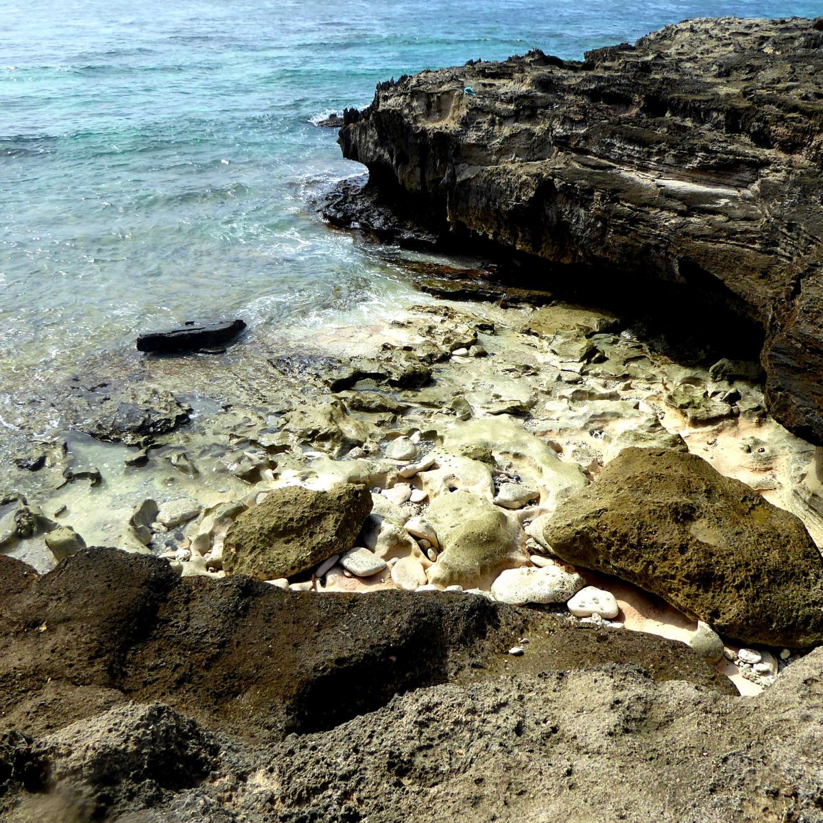 Isla Rodrigues