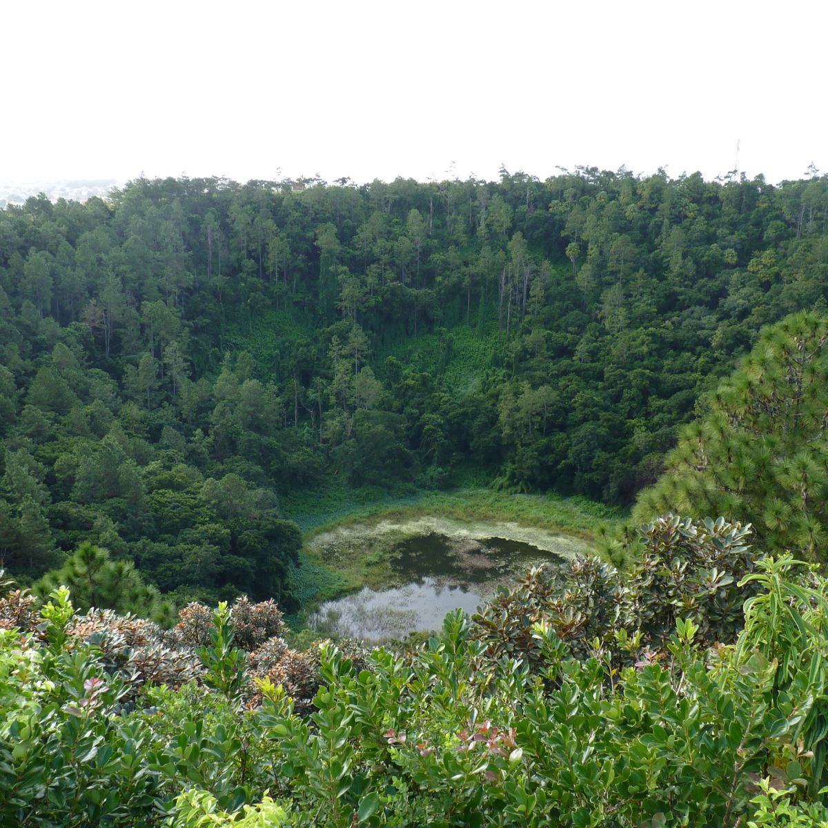 Île Aux Cerfs