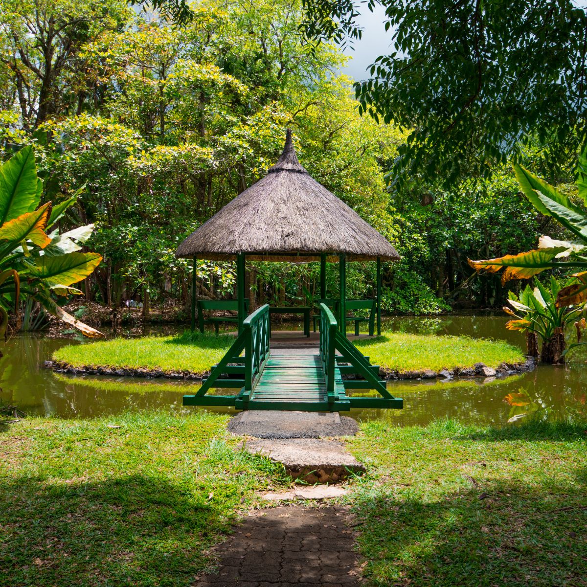 Jardín Botánico de Pamplemousses