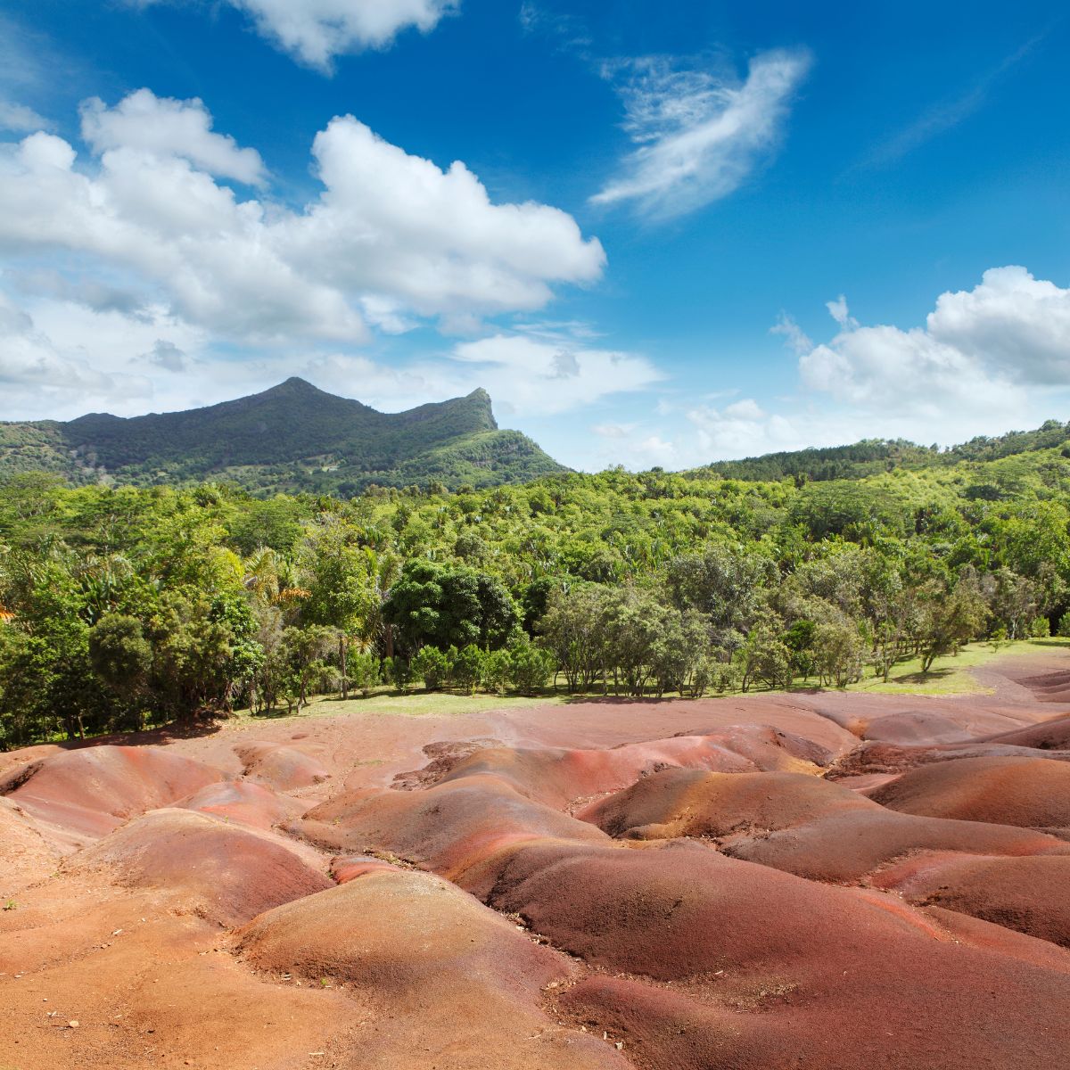Chamarel y la Tierra de los Siete Colores