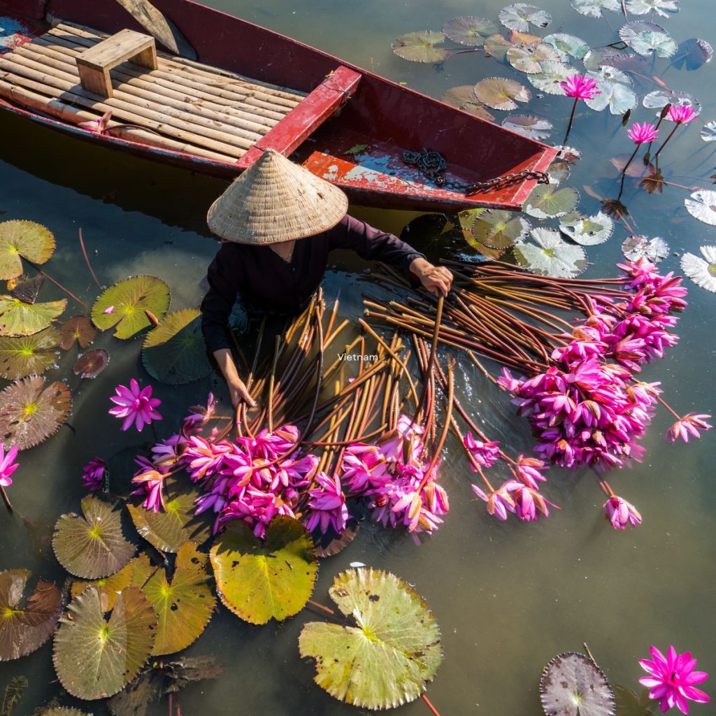 Vietnam