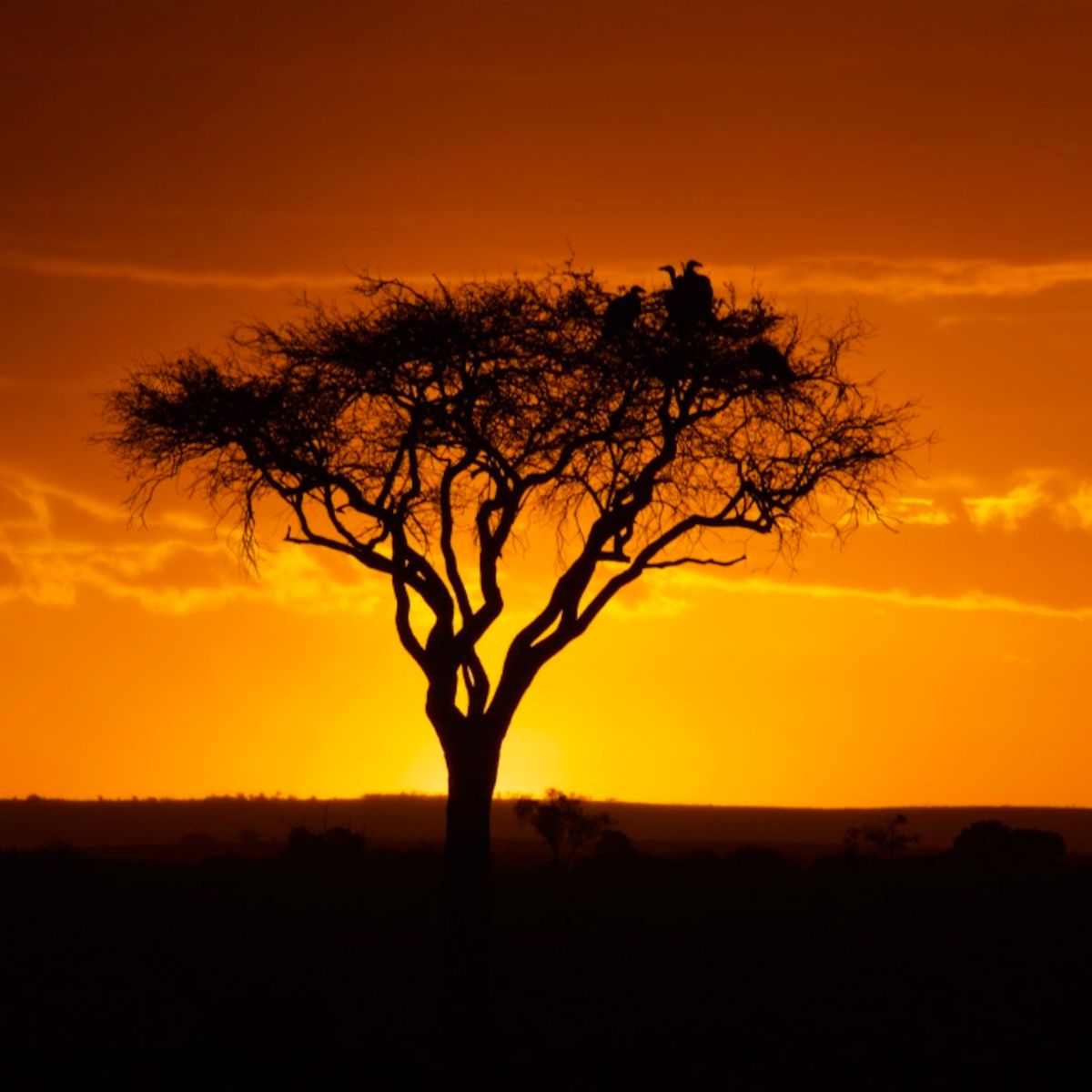 Kenia