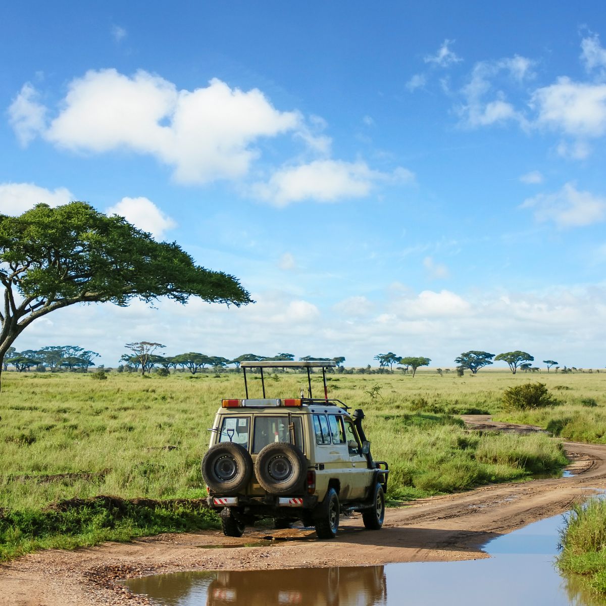 Parque Nacional Serengeti