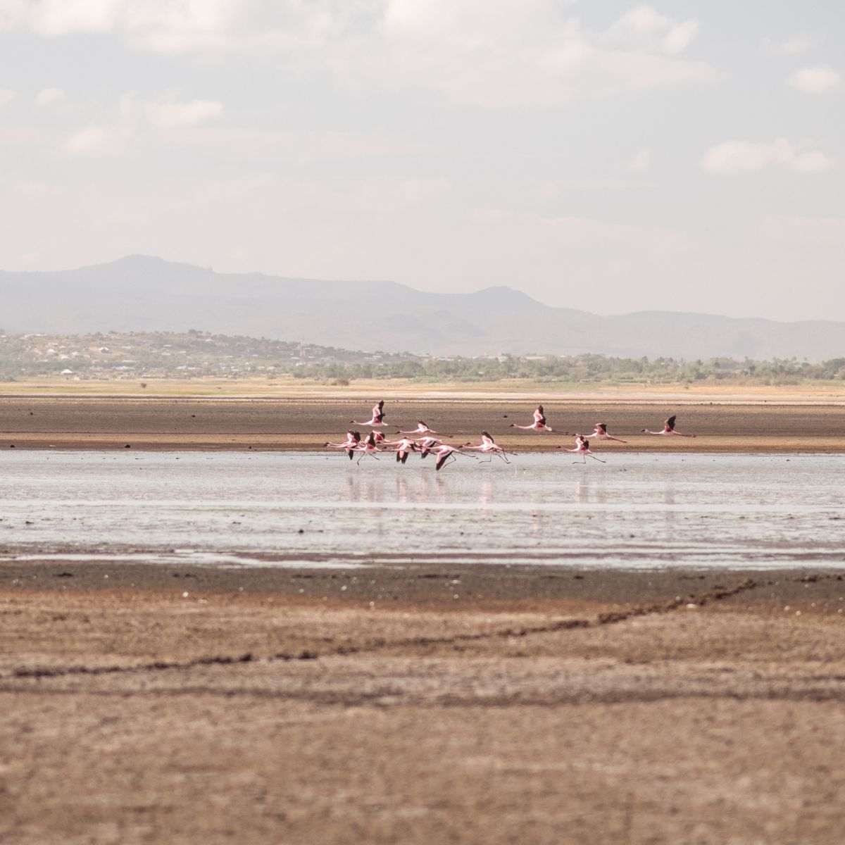 Lago Eyasi