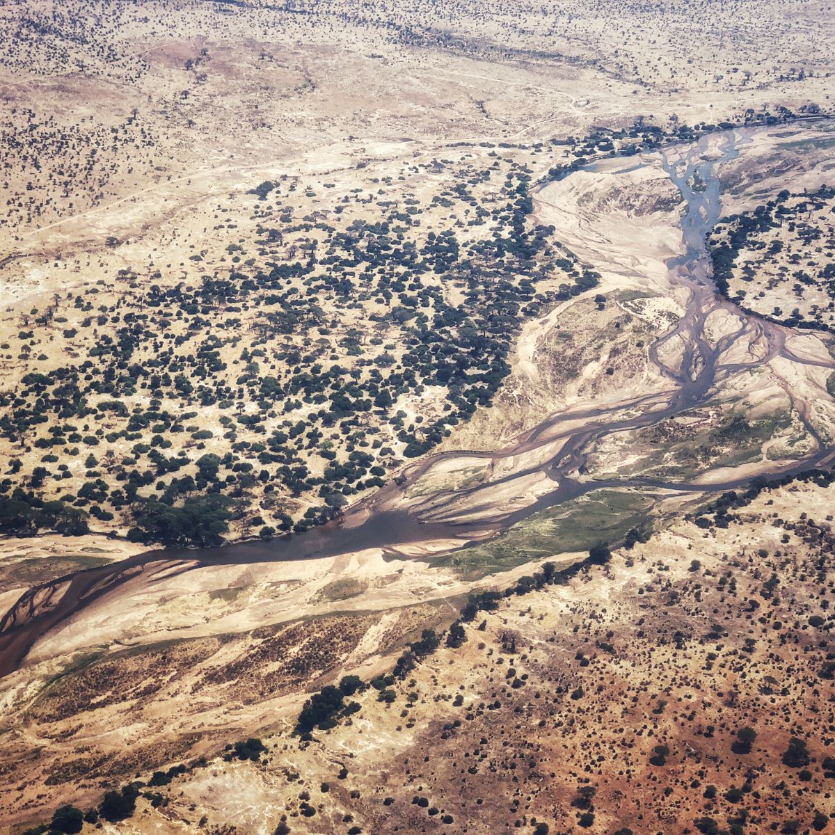 Parque Nacional Ruaha
