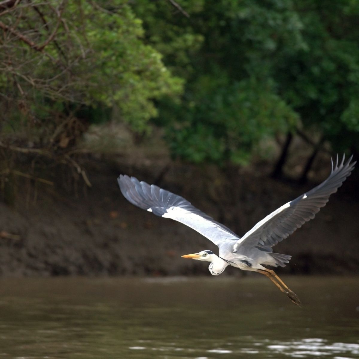 Parque Nacional Saadani