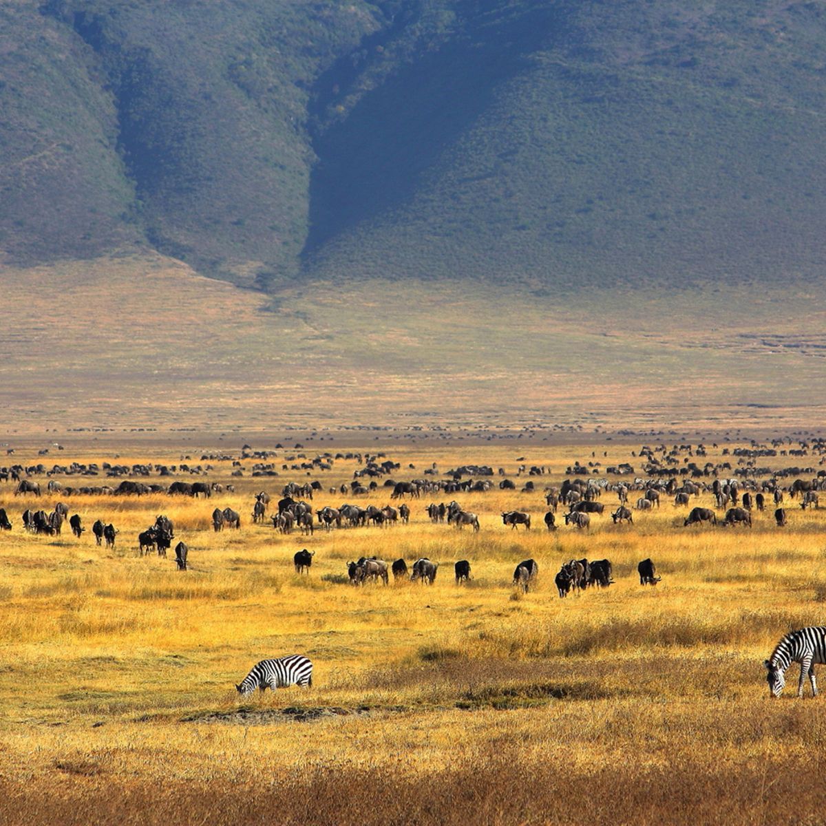 Cráter de Ngorongoro