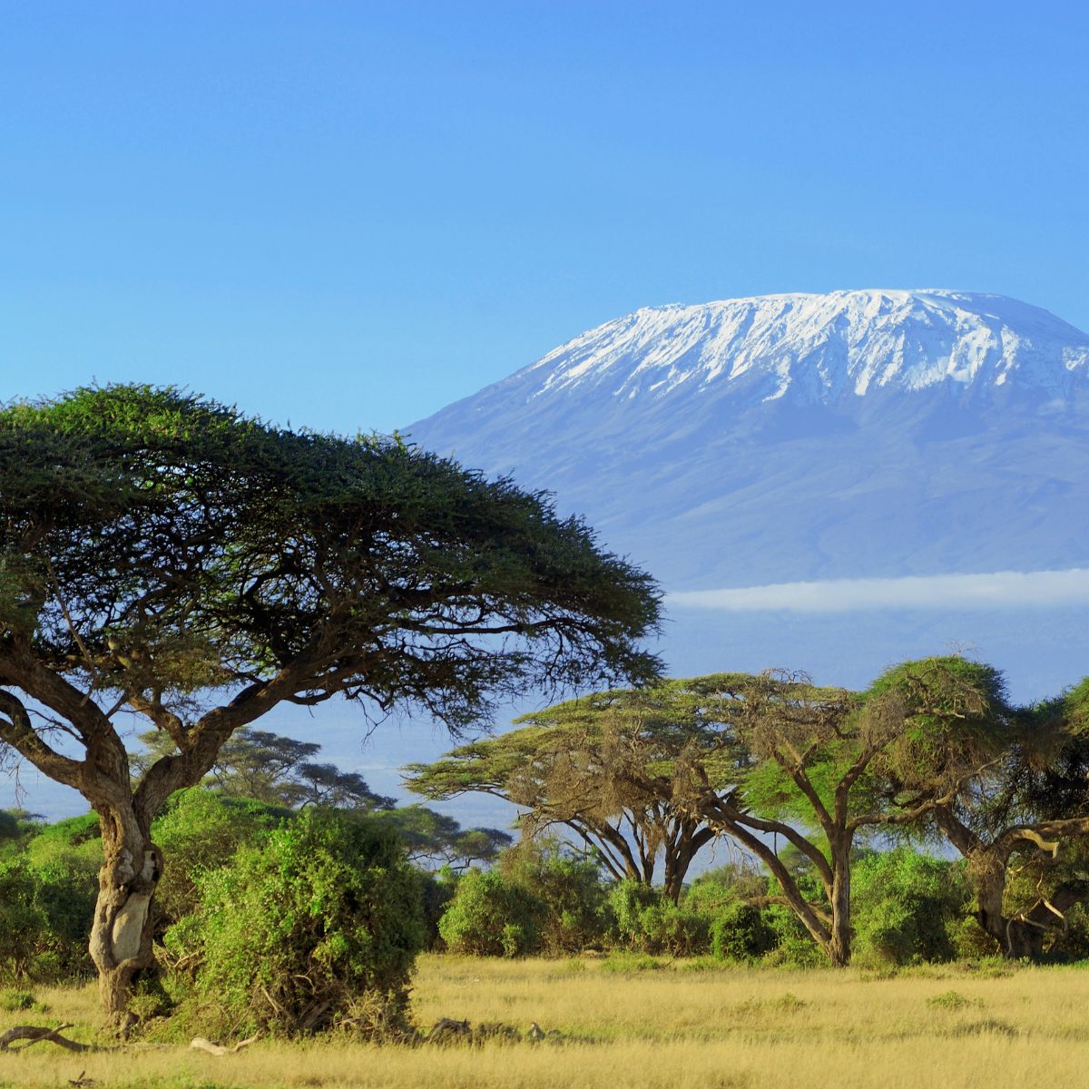 Parque Nacional Kilimanjaro