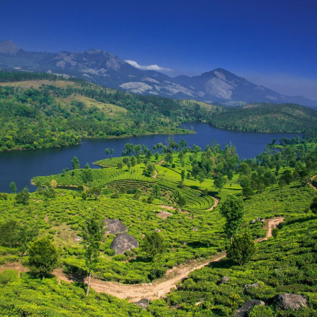 Sur de la India