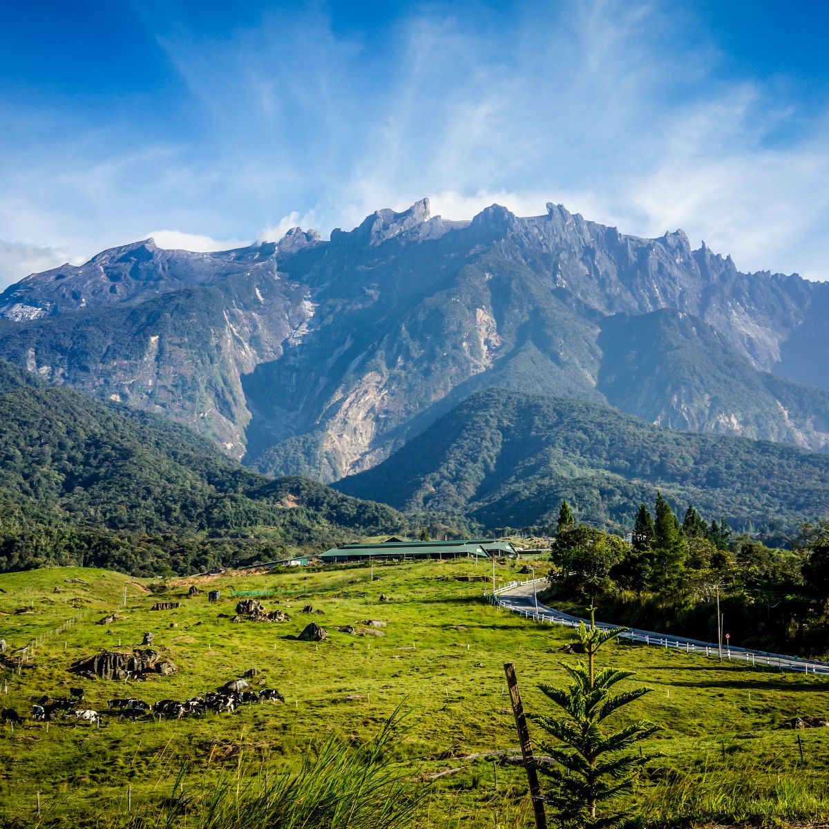Monte Kinabalu, Sabah