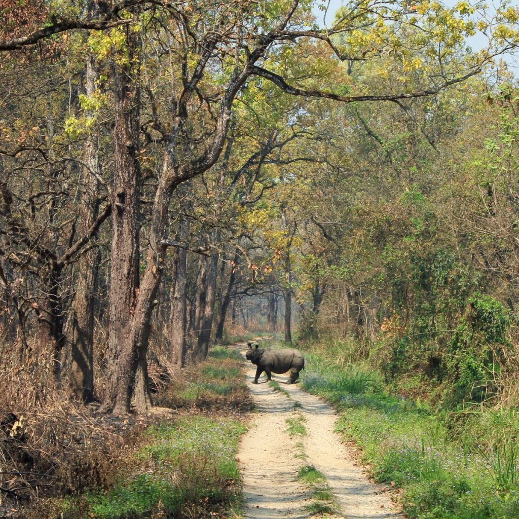 Chitwan National Park