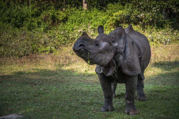 P N Chitwan 2 P.N.Chitwan