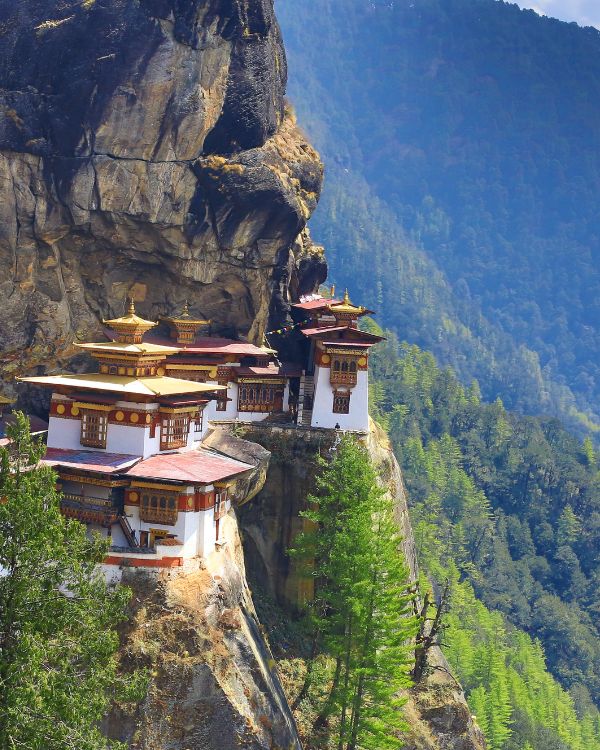 Paro