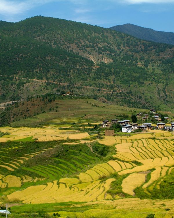 Punakha