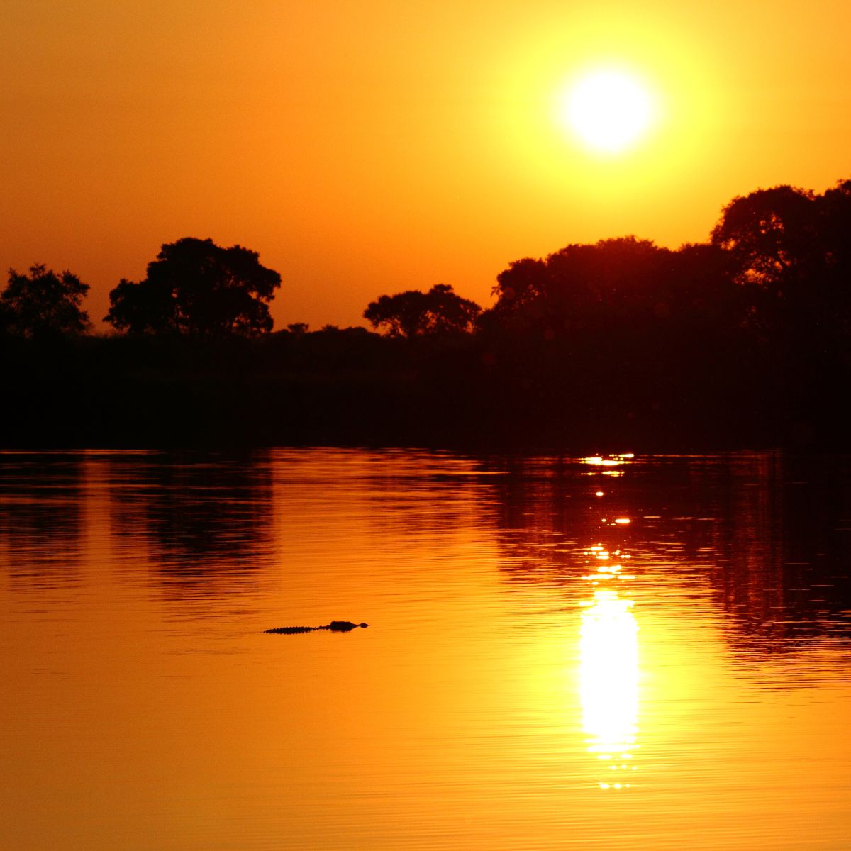 Kafue National Park