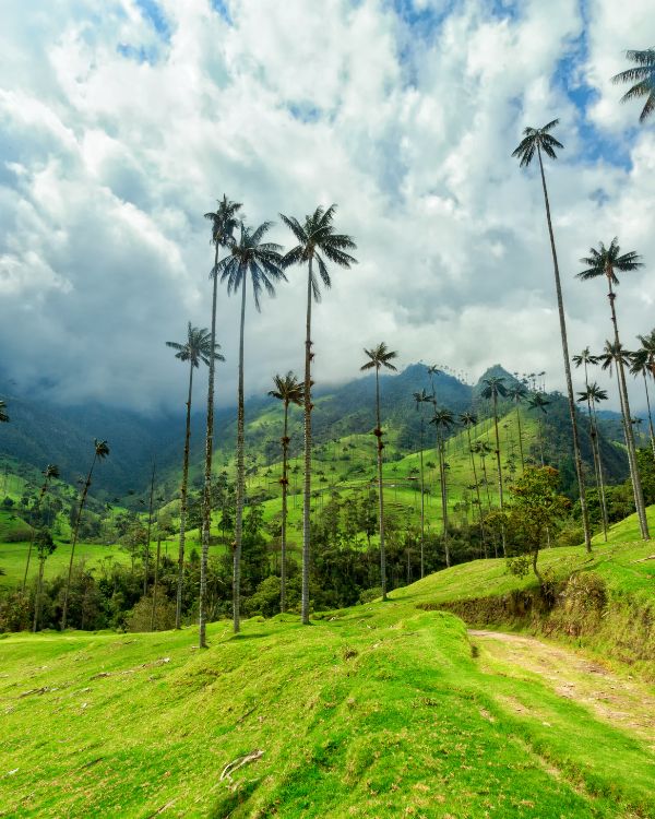 Colombia