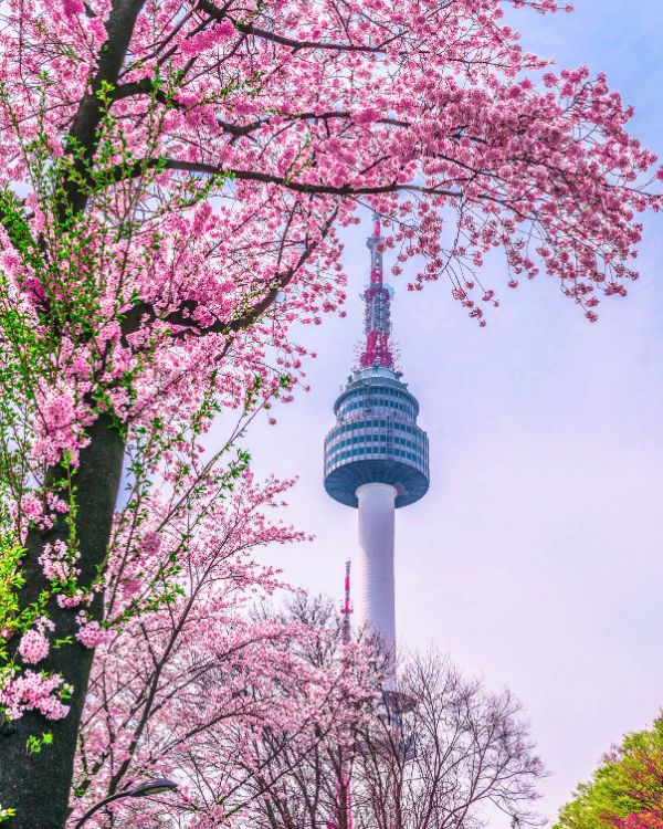 Corea del sur