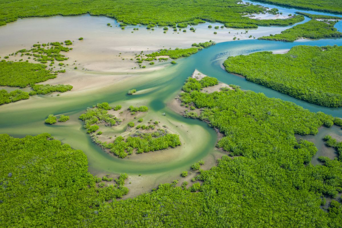 Bellezas de Senegal