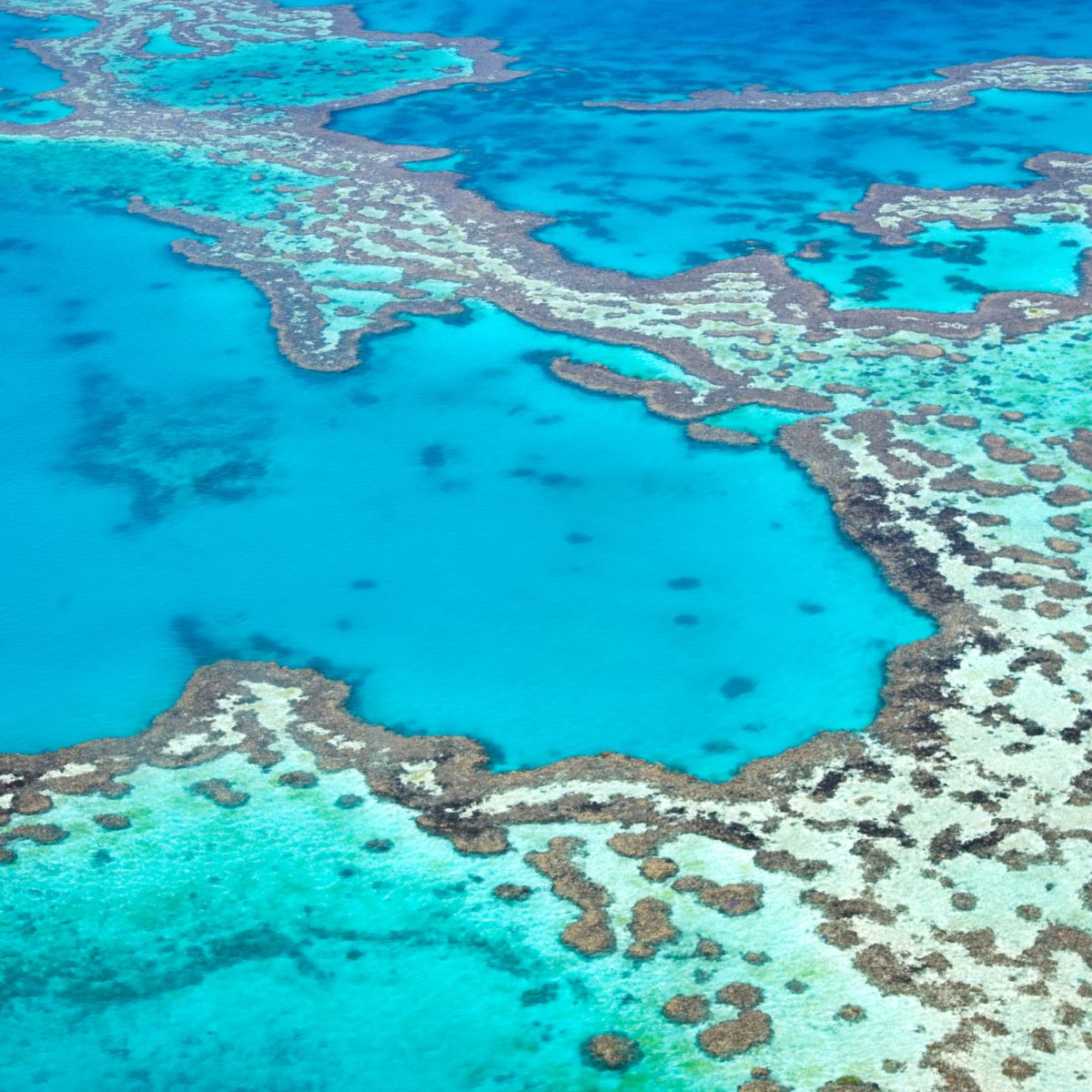 Cairns y la Gran Barrera de Coral