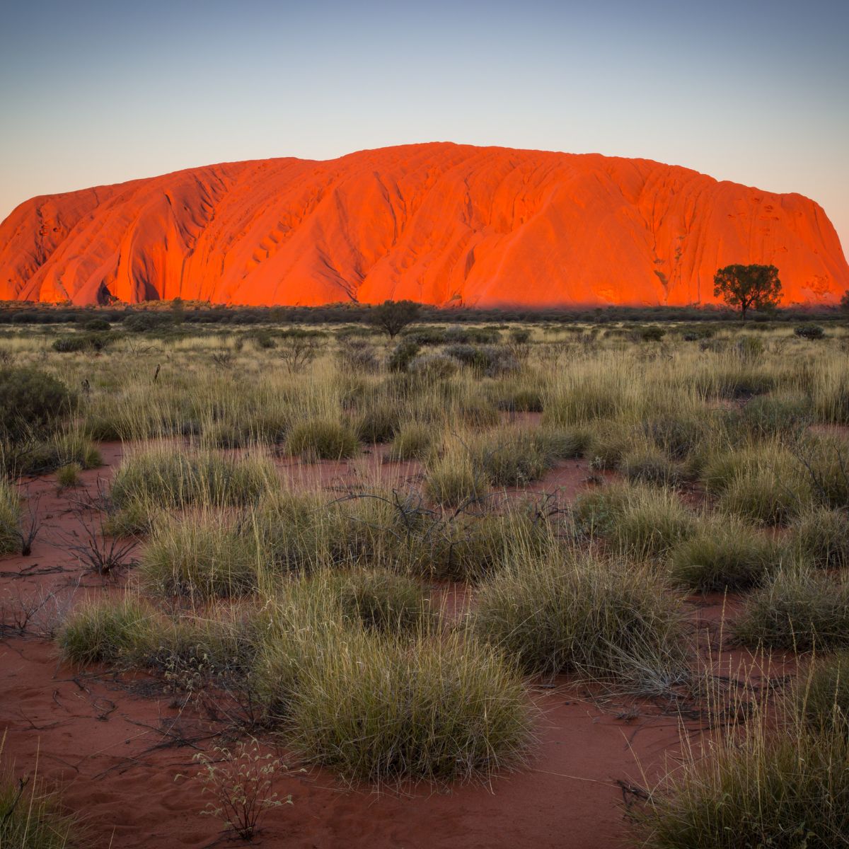 Uluru y el Outback