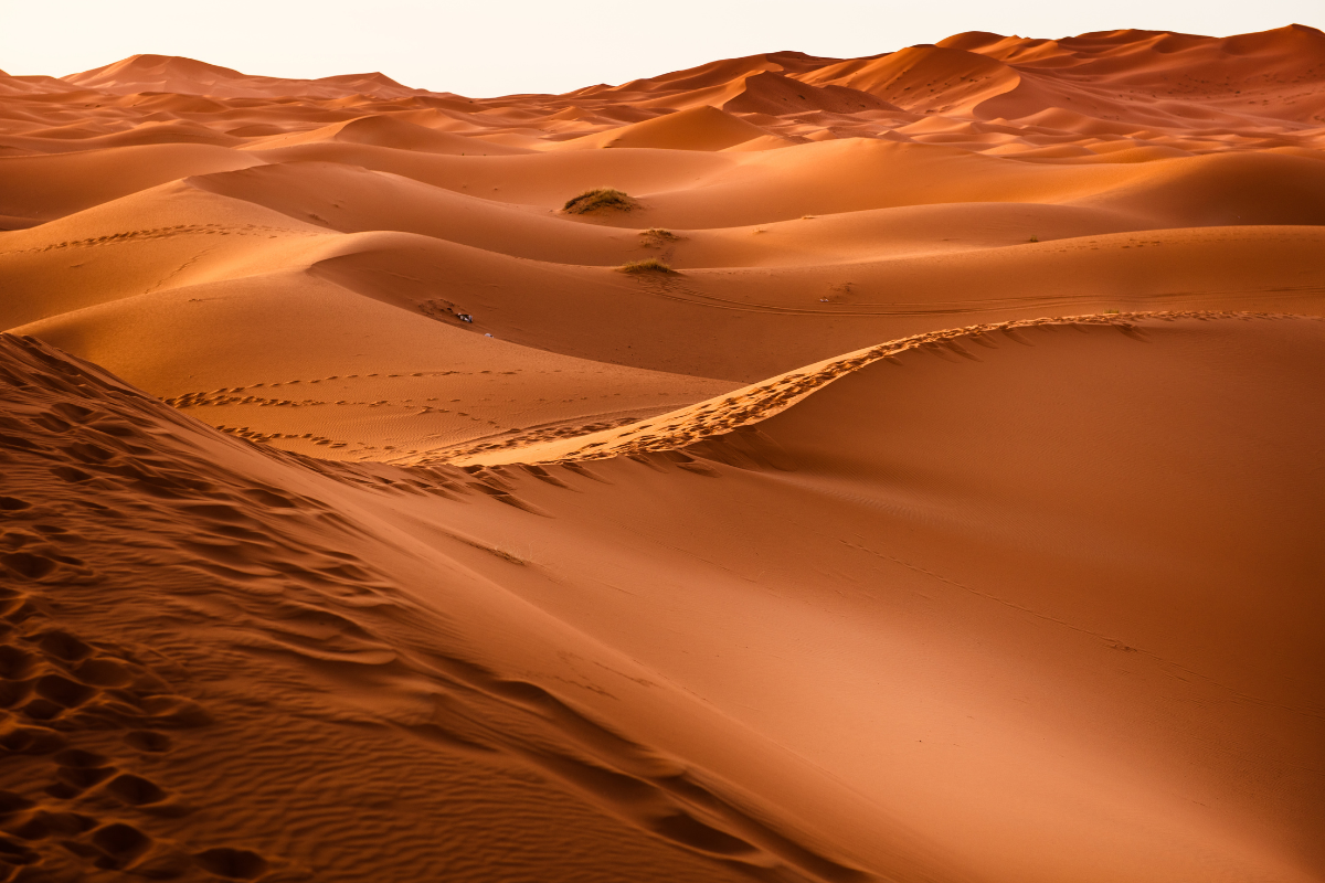Desierto Atlas y Dunas