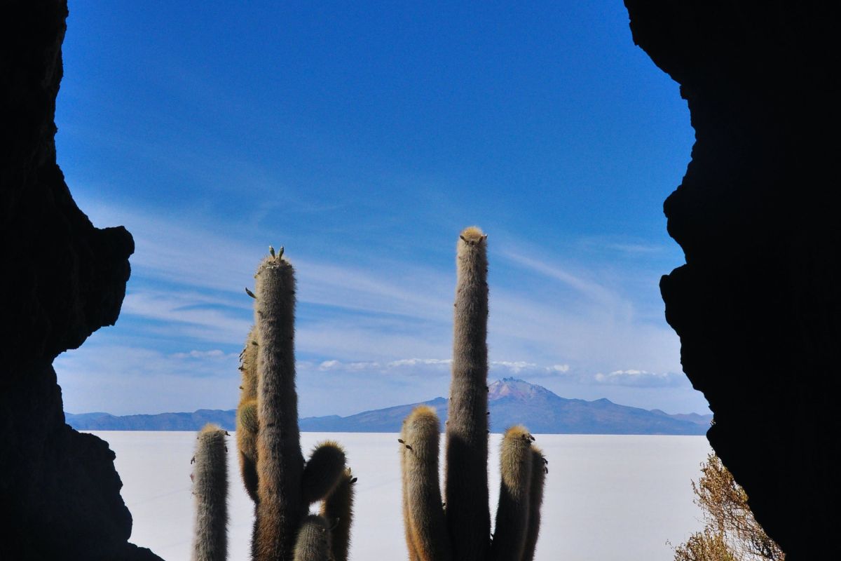 Tesoros de Bolivia y Perú
