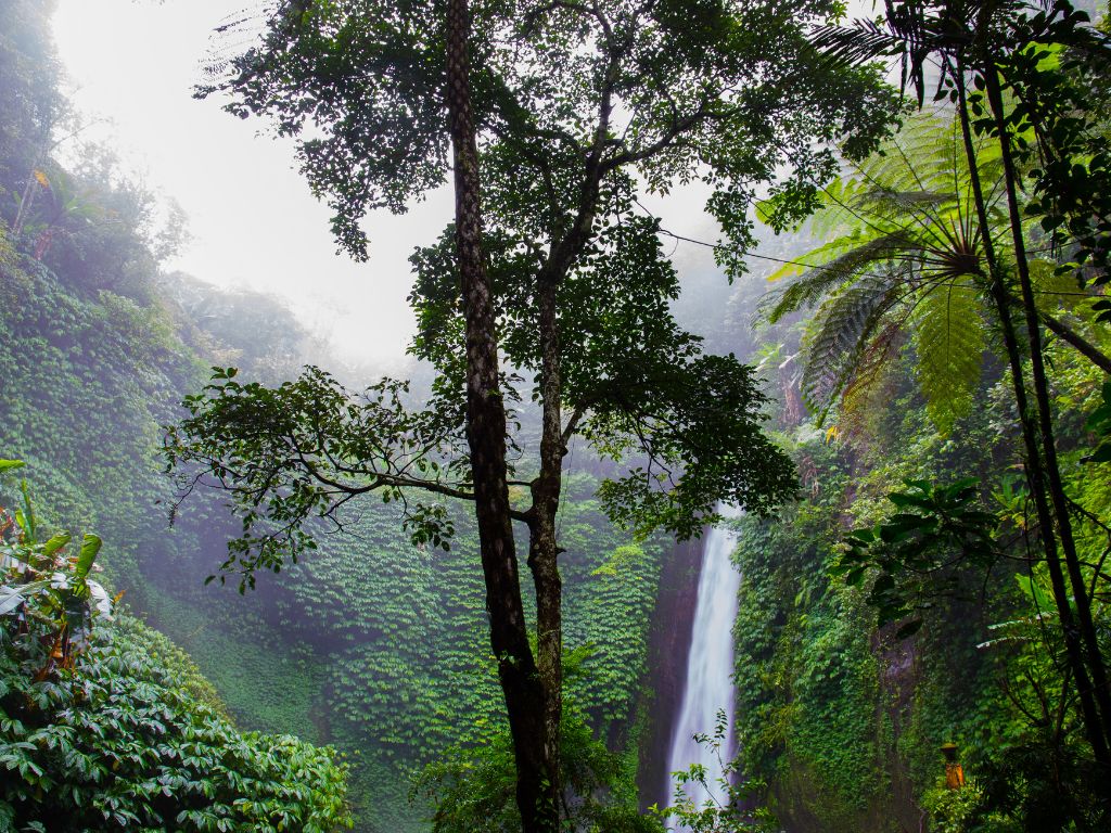 La Amazonía Ecuatoriana