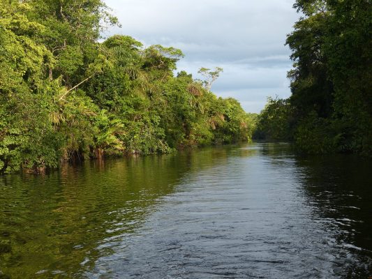 Tortuguero