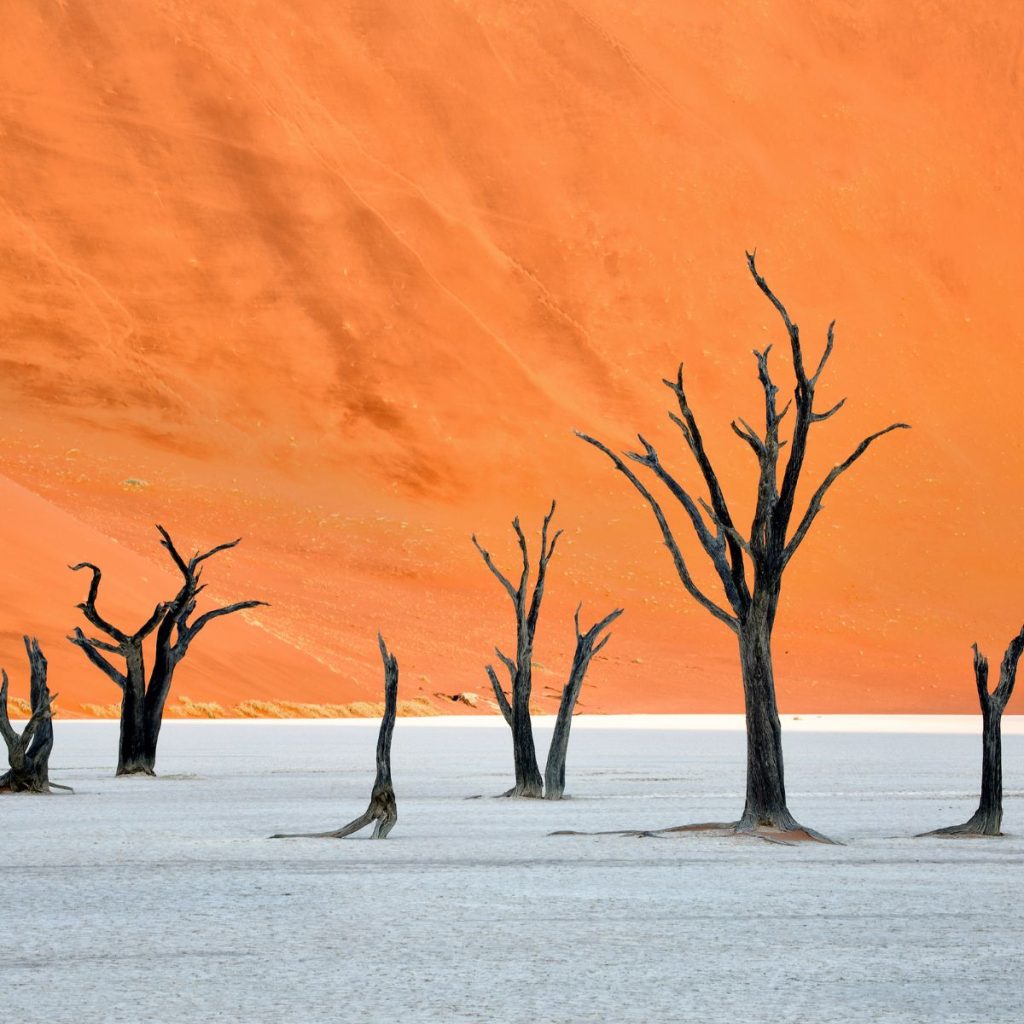 Deadvlei