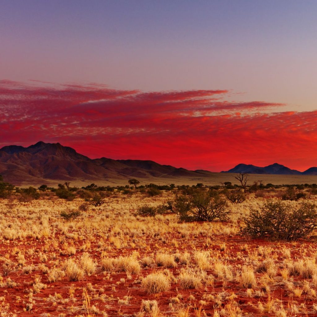 Desierto de Kalahari