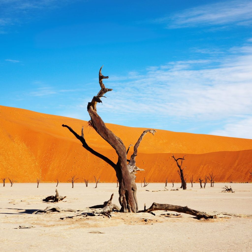 Desierto del Namib