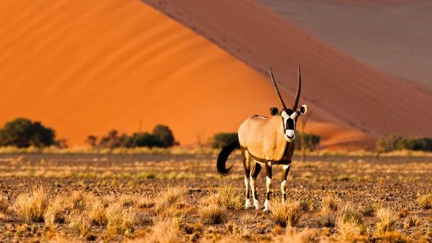 Desiertos de Namibia en 4×4