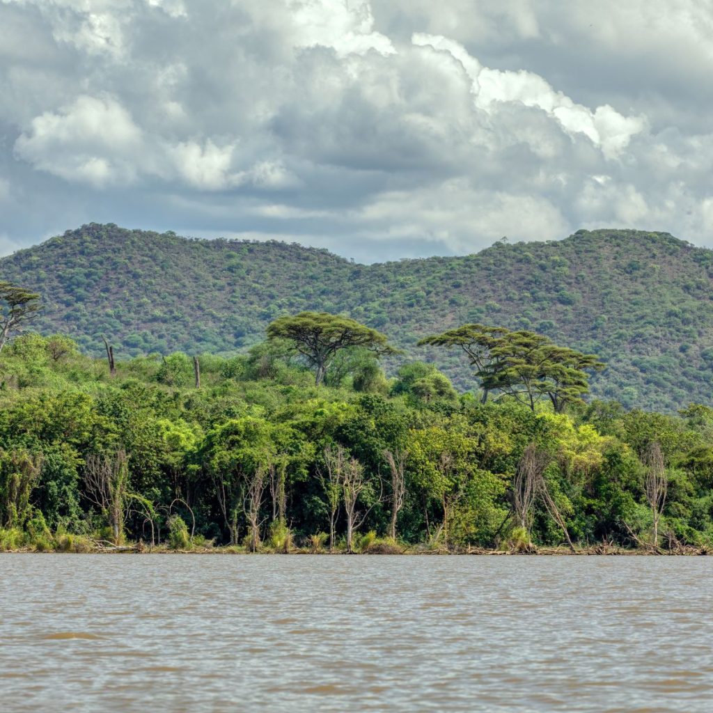 Lago Chamo