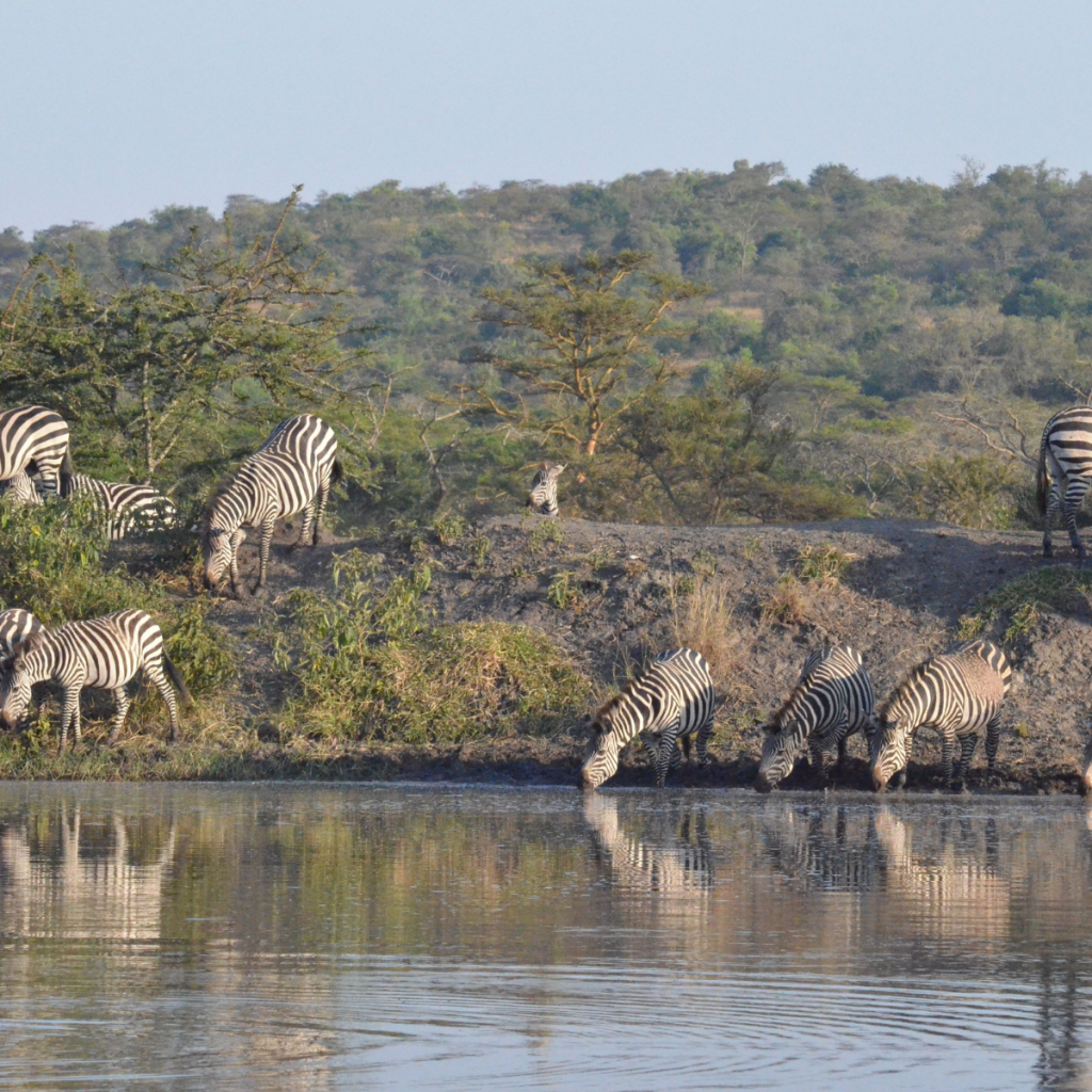 Lago Mburo