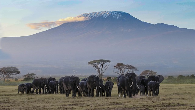 Parque Nacional Amboseli