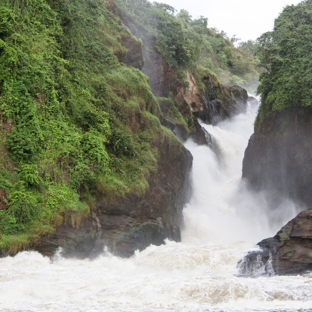 Parque Nacional Murchison Falls 1