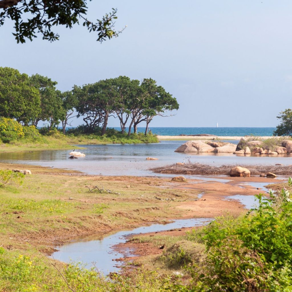 Parque Nacional de Yala (1)