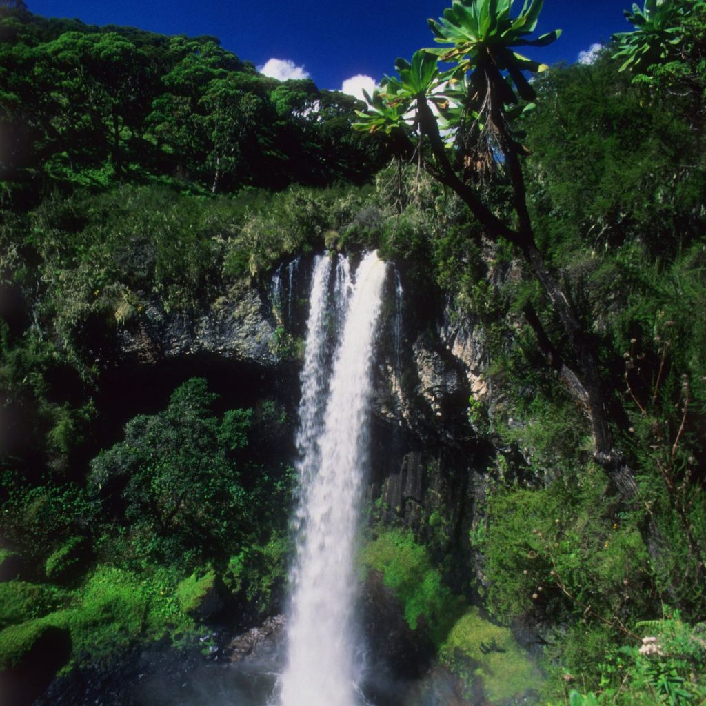 Parque Nacional de los Montes Aberdare 1