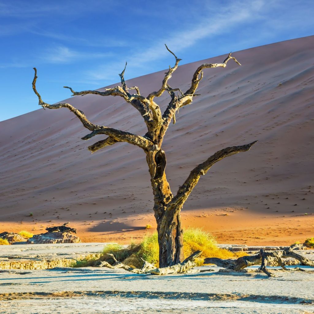 Parque nacional de Namib Naukluft 1