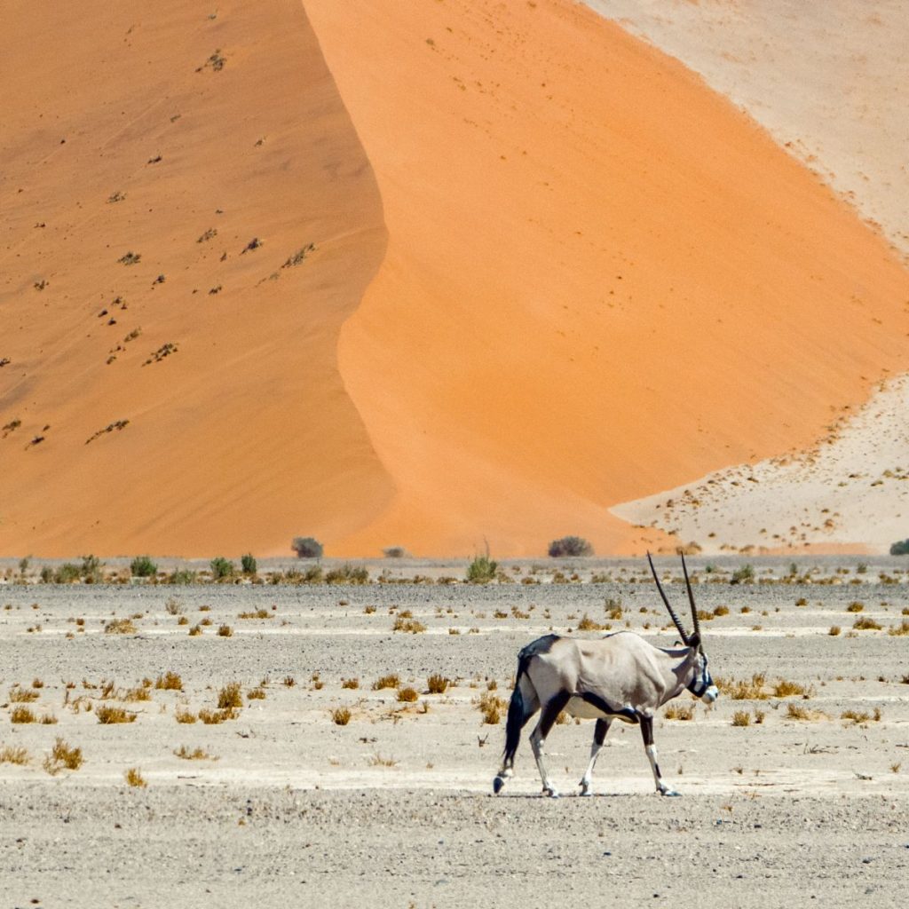 Parque nacional de Namib Naukluft