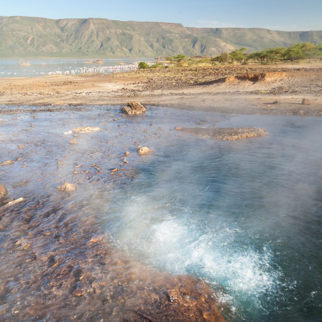 Reserva Nacional Lago Bogoria 1