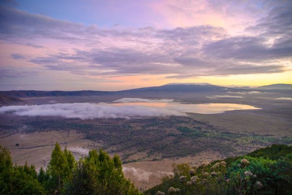 Ngorongoro