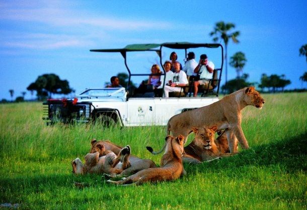 Safari por Botswana