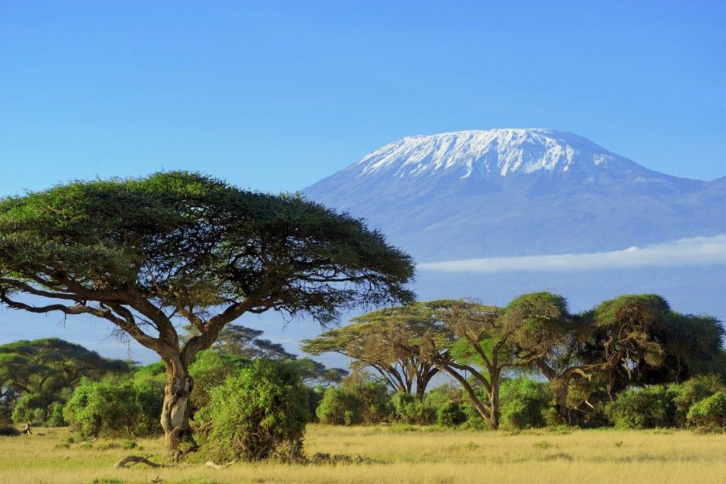 Safari privado Olduvai en Tanzania 8