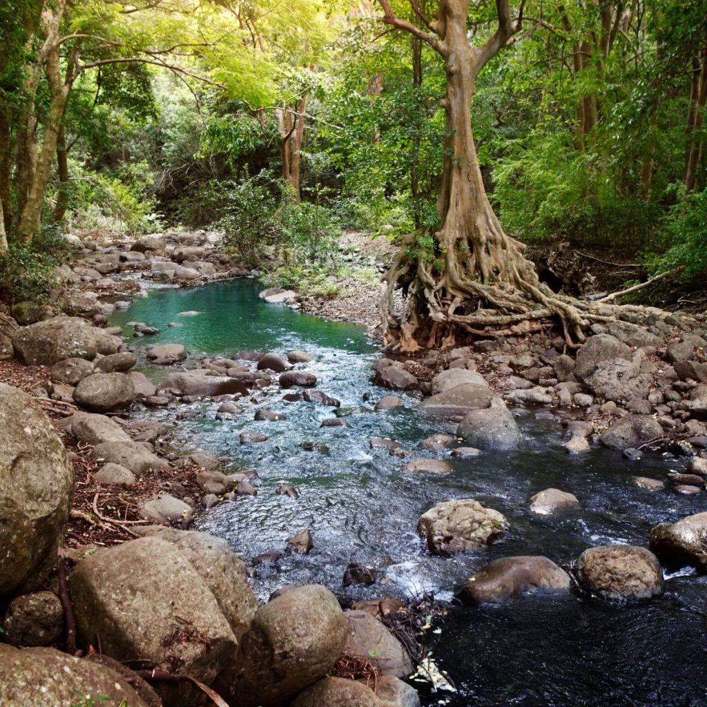 Viajes islas mauricio (17)